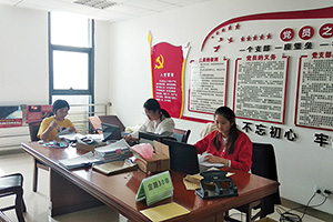 琅琊区文化和旅游局文书档案整理