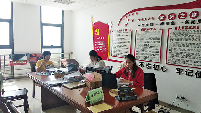 琅琊区文化和旅游局文书档案整理