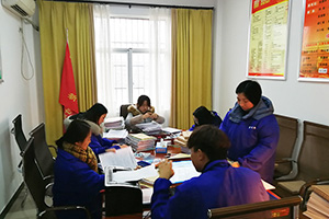 新集村农村档案规范化试点档案整理